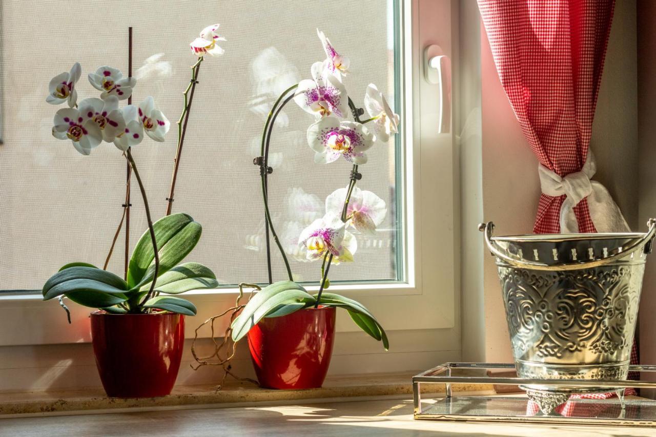 Ferienwohnung Jenzigblick Ена Экстерьер фото